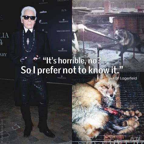 fendi animal cruelty|why is fendi not coming out.